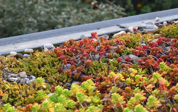 the cost of Kirby Knowle green roof installation