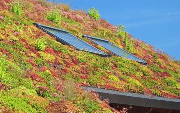 Kirby Knowle living roof systems