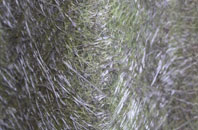 Kirby Knowle fibreglass roof work